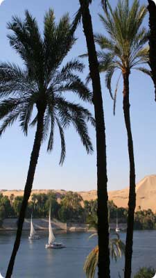 Feluca ride on the Nile