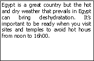 Zone de Texte: Egypt is a great country but the hot and dry weather that prevails in Egypt can bring deshydratation. It’s important to be ready when you visit sites and temples to avoid hot hours from noon to 16h00.